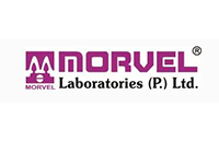 morwel- Stainless Steel Ladder Supplier in India